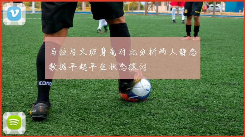 马拉与文班身高对比分析两人静态数据平起平坐状态探讨
