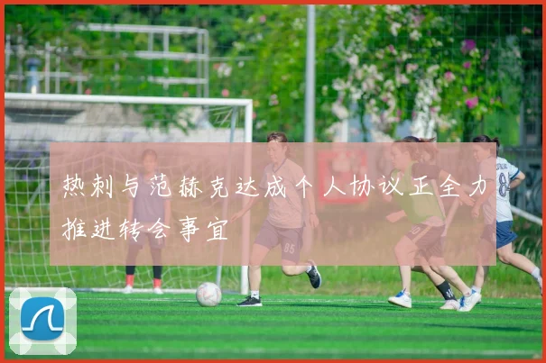 热刺与范赫克达成个人协议正全力推进转会事宜